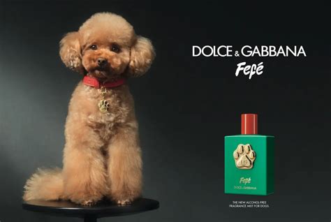 fefe dog perfume